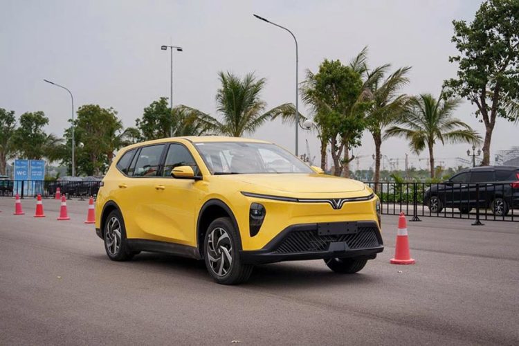VinFast VF 3 và VF 5 tại sự kiện bàn giao xe tháng 7/2025