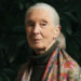 Một đời Jane Goodall: Từ giấc mơ tuổi thơ đến di sản bất tử của thiên nhiên