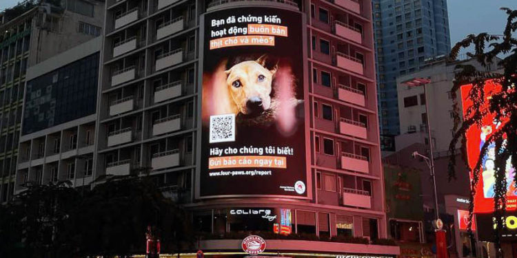 Tấm pano đỏ của Four Paws đặt giữa đại lộ Nguyễn Huệ, kêu gọi người dân Việt Nam báo cáo hành vi buôn bán thịt chó mèo bất hợp pháp.