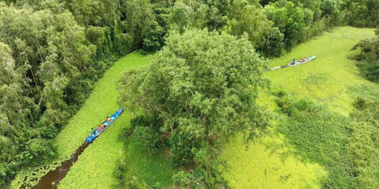 Lạc giữa Mùa Xuân – nơi tiếng chim gọi bình yên giữa lòng Hậu Giang