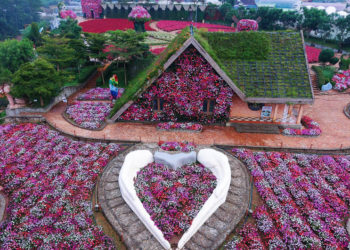 Một buổi sáng ở Fresh Garden: Khi Đà Lạt hóa thành Hà Lan