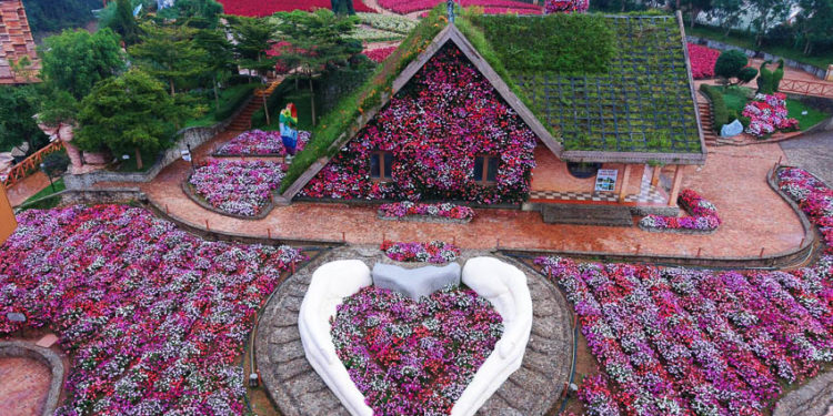 Một buổi sáng ở Fresh Garden: Khi Đà Lạt hóa thành Hà Lan