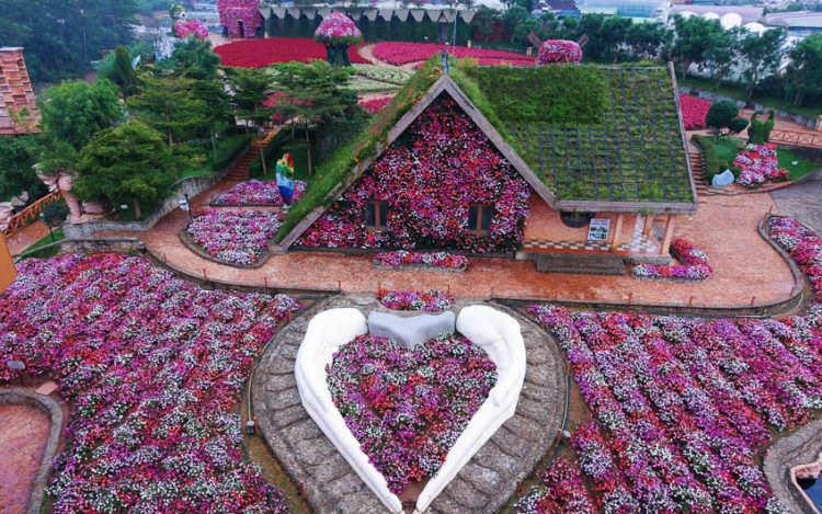 Một buổi sáng ở Fresh Garden: Khi Đà Lạt hóa thành Hà Lan