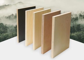 TEKCOM kỷ niệm 20 năm: Vượt thách thức, bứt phá giới hạn vươn tầm quốc tế