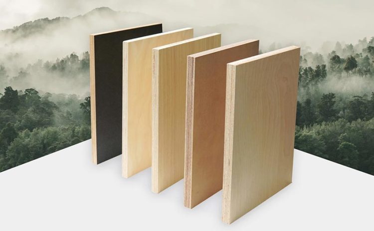 TEKCOM kỷ niệm 20 năm: Vượt thách thức, bứt phá giới hạn vươn tầm quốc tế