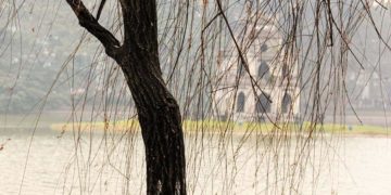 Thướt tha bên hồ liễu thưa