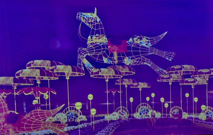 Đường hoa Nguyễn Huệ Tết Bính Ngọ 2026: Lần đầu tiên trình diễn hai phiên bản ngày và đêm - 6