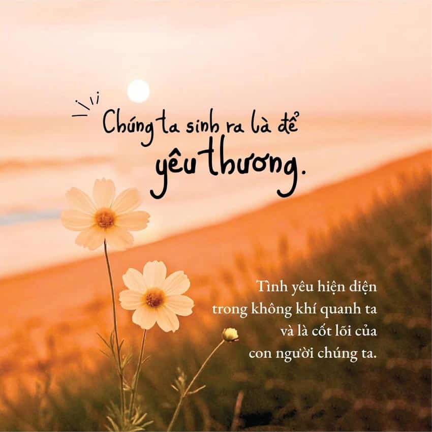 Bìa sách “Tản mạn về tình yêu” của Anne Lamott với tông màu ấm, đặt trên nền ánh sáng dịu, gợi cảm giác chiêm nghiệm và hy vọng về tình yêu thương - 1