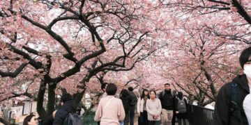 Du lịch mùa xuân châu Á sôi động, nhu cầu trải nghiệm thiên nhiên tăng mạnh - 1