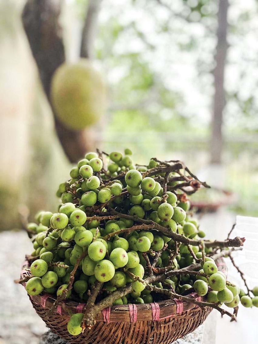 Hương vị cuộc sống: Dòng sắc hương sâu kín - 1