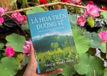 Thầy Thích Pháp Hòa chia sẻ cách giảm sân si và buông bỏ phiền não trong cuộc sống