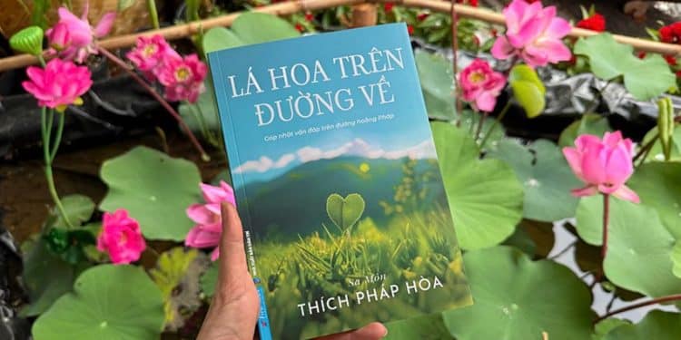 Thầy Thích Pháp Hòa chia sẻ cách giảm sân si và buông bỏ phiền não trong cuộc sống