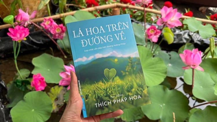 Thầy Thích Pháp Hòa chia sẻ cách giảm sân si và buông bỏ phiền não trong cuộc sống