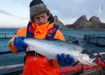 Thị trường Việt Nam dẫn dắt tăng trưởng cá hồi Na Uy trong khu vực - 2