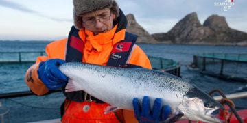 Thị trường Việt Nam dẫn dắt tăng trưởng cá hồi Na Uy trong khu vực - 2