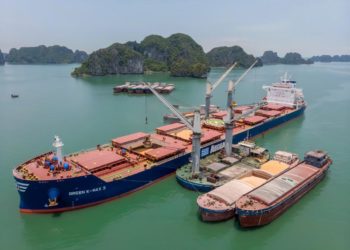 Việt Nam giữ lợi thế giá và nguồn cung trong hệ thống lương thực toàn cầu - 1