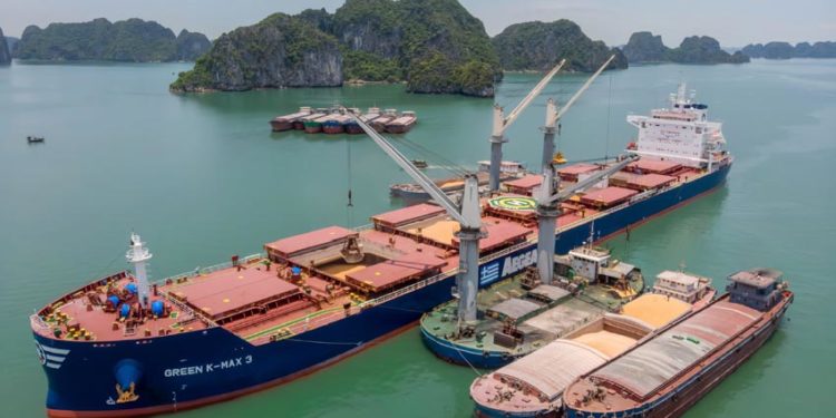 Việt Nam giữ lợi thế giá và nguồn cung trong hệ thống lương thực toàn cầu - 1