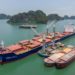 Việt Nam giữ lợi thế giá và nguồn cung trong hệ thống lương thực toàn cầu - 1