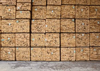 Các khối gỗ hardwood Mỹ xếp chồng trong nhà máy, minh họa chuỗi cung ứng gỗ minh bạch và bền vững - 1
