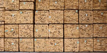 Các khối gỗ hardwood Mỹ xếp chồng trong nhà máy, minh họa chuỗi cung ứng gỗ minh bạch và bền vững - 1