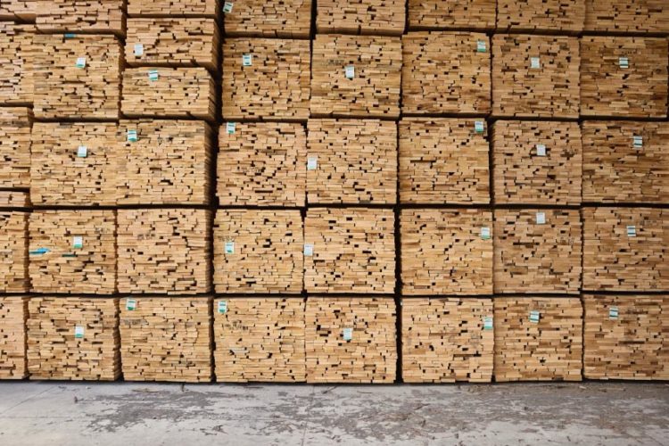 Các khối gỗ hardwood Mỹ xếp chồng trong nhà máy, minh họa chuỗi cung ứng gỗ minh bạch và bền vững - 1