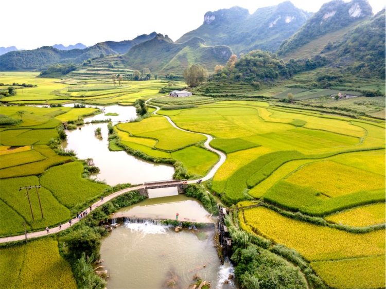 Du lịch hè 2026: khách Việt chi đậm cho trải nghiệm độc lạ