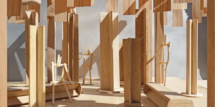 Wood for the Trees: Lắng nghe tiếng nói của rừng qua thiết kế