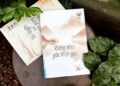 Không khóc giữa nhân gian – học đi qua nỗi buồn - 1